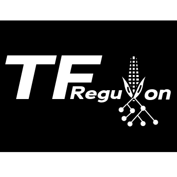 TF Regulon